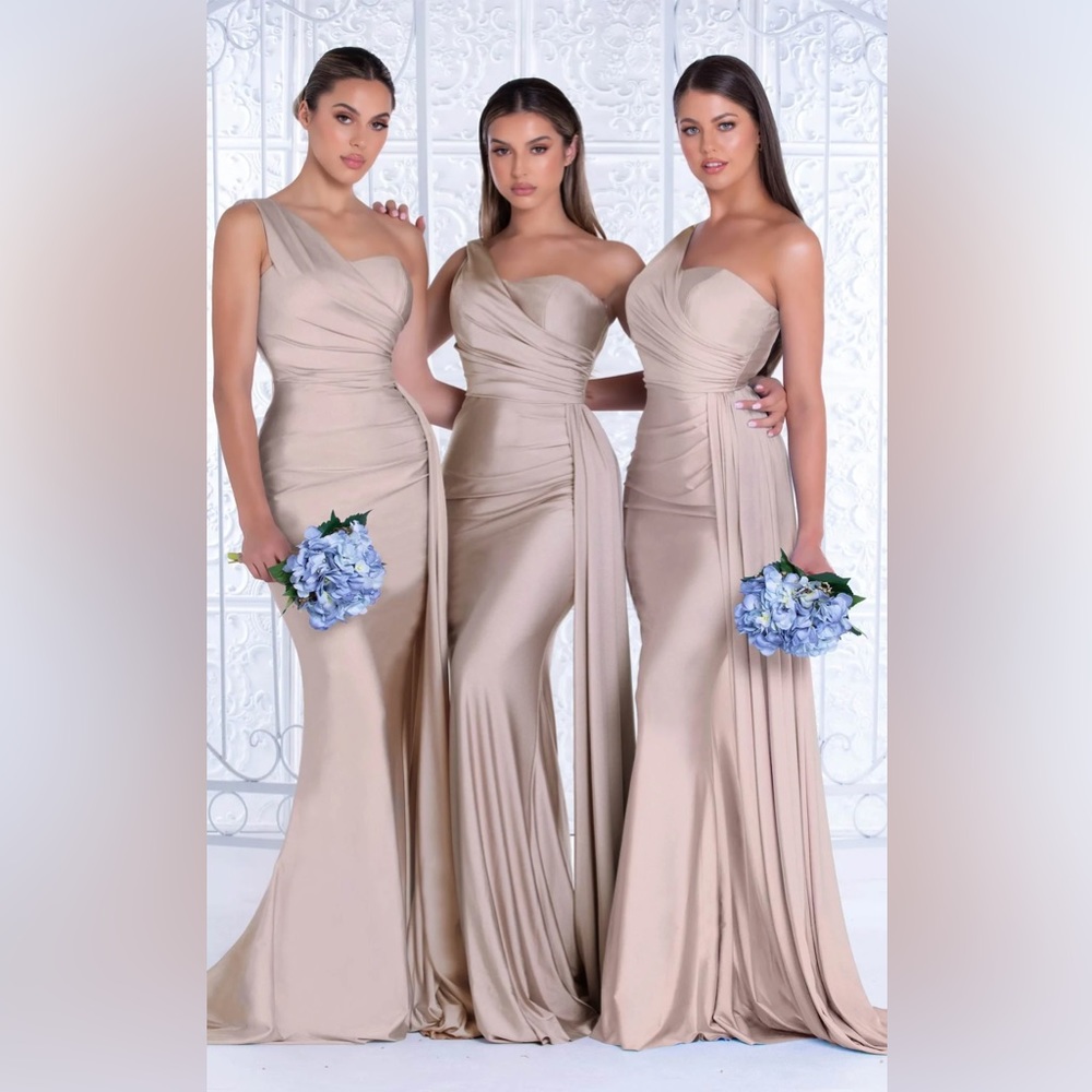 PORTIA AND SCARLETT GOWN